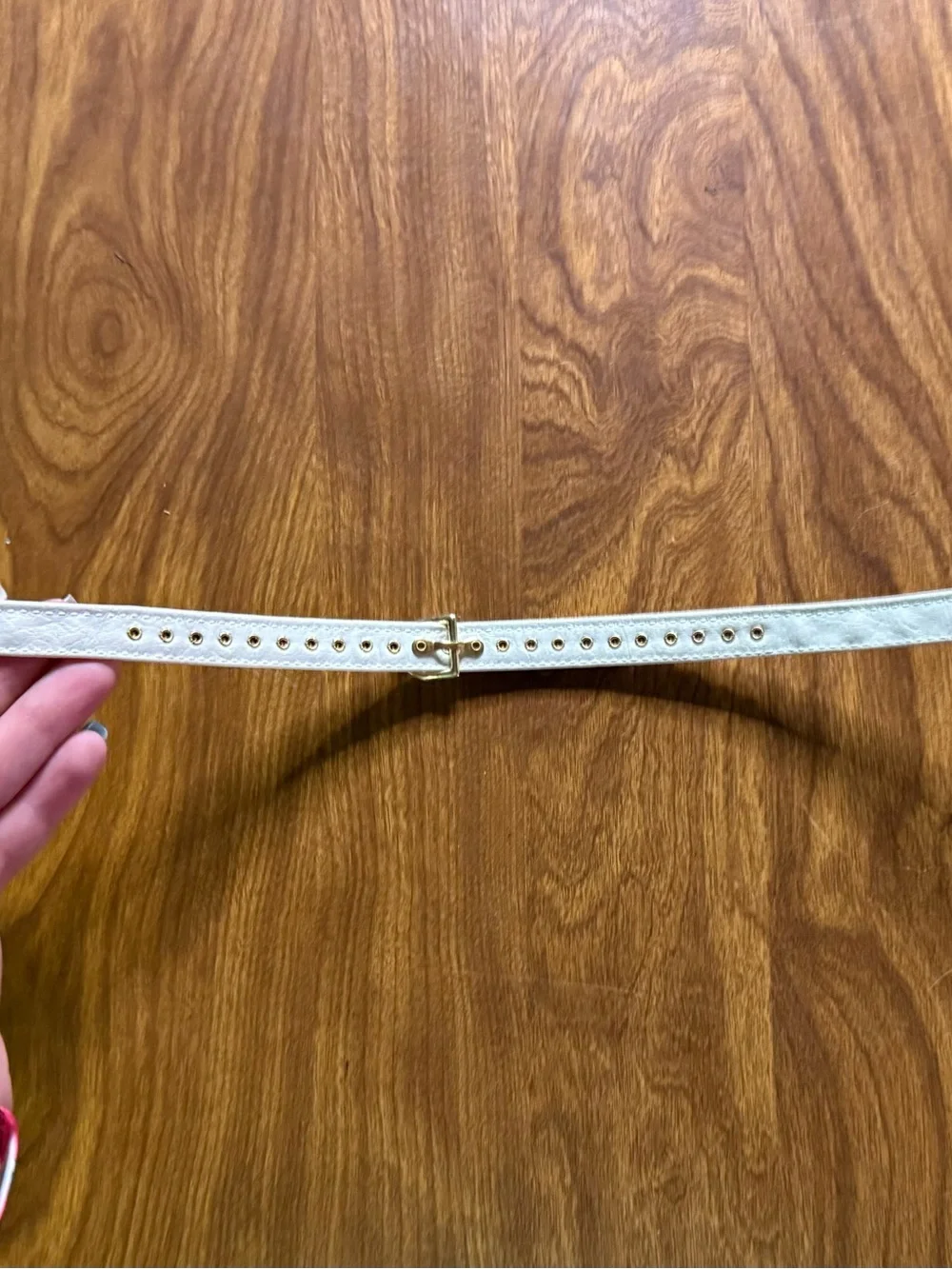 Gold Dog Collar - Size Medium